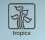 Tropica