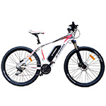 Bikes Bikes